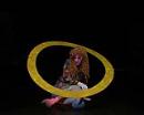 2006_luz negra