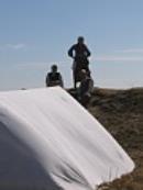 Almeida 079.jpg - 54kb