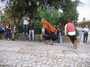 Almeida 191.jpg - 190kb