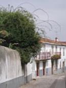Almeida 223.jpg - 102kb