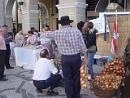 feira_cebolas01.JPG - 87kb